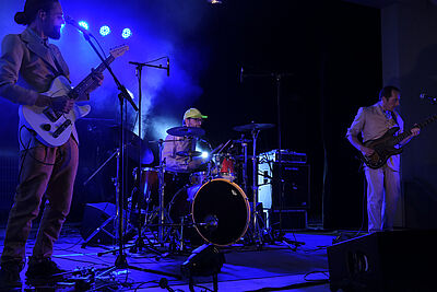 Agrandir l'image 12 sur 17, fenêtre modale